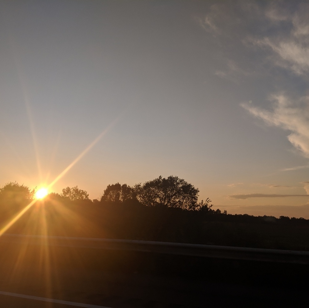 Meet your Posher, Felice